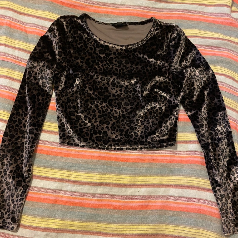 TopShop cropped long sleeve top